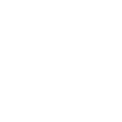 ADIDAS CHAMPIONS CUP