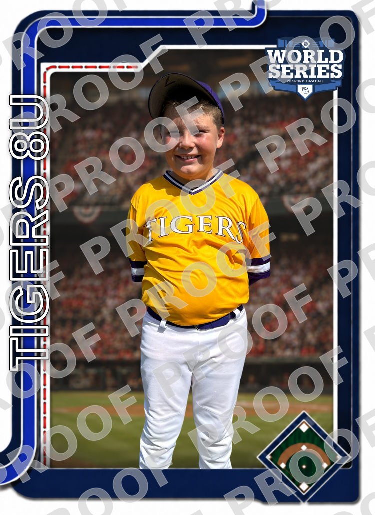 Player 3